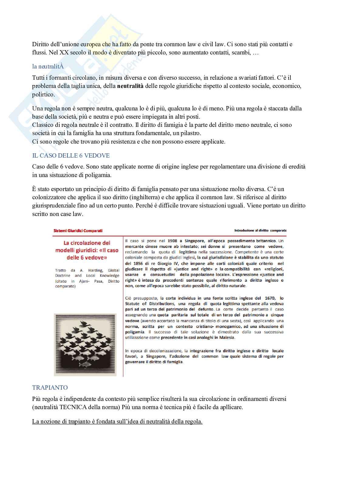 Riassunto esame Sistemi giuridici comparati, Prof. Novaretti Simona, libro consigliato Diritto comparato I, II, III, Ajani, Francavilla, Pasa Pag. 21