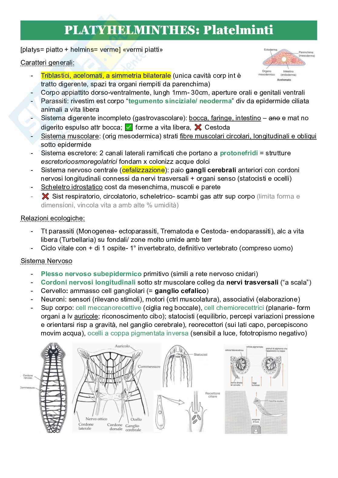 Zoologia sistematica Pag. 1