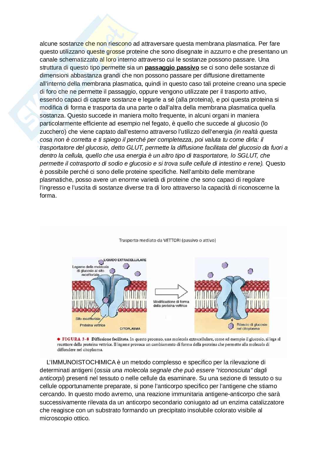 Struttura e funzione della cellula Pag. 6