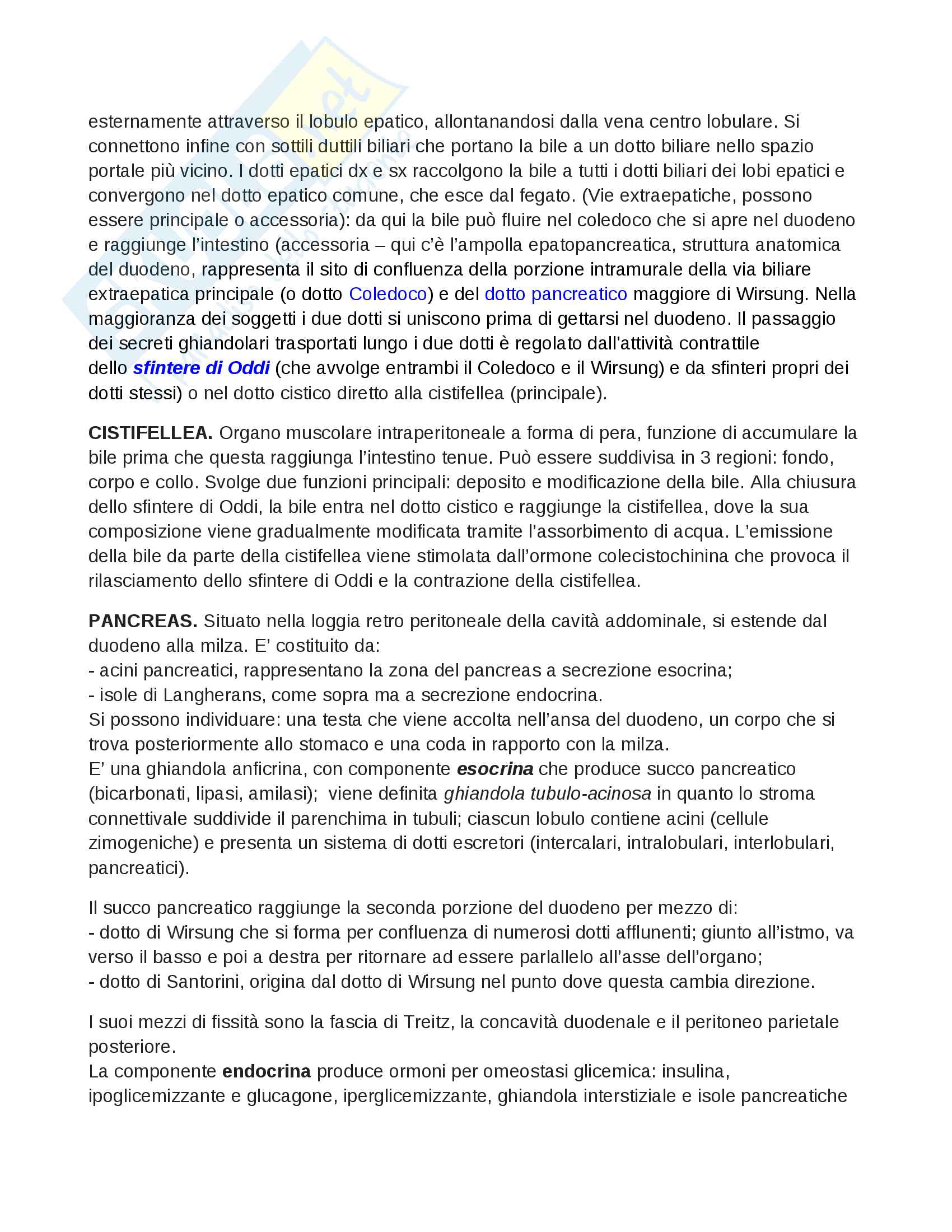 4 esonero Anatomia Pag. 11
