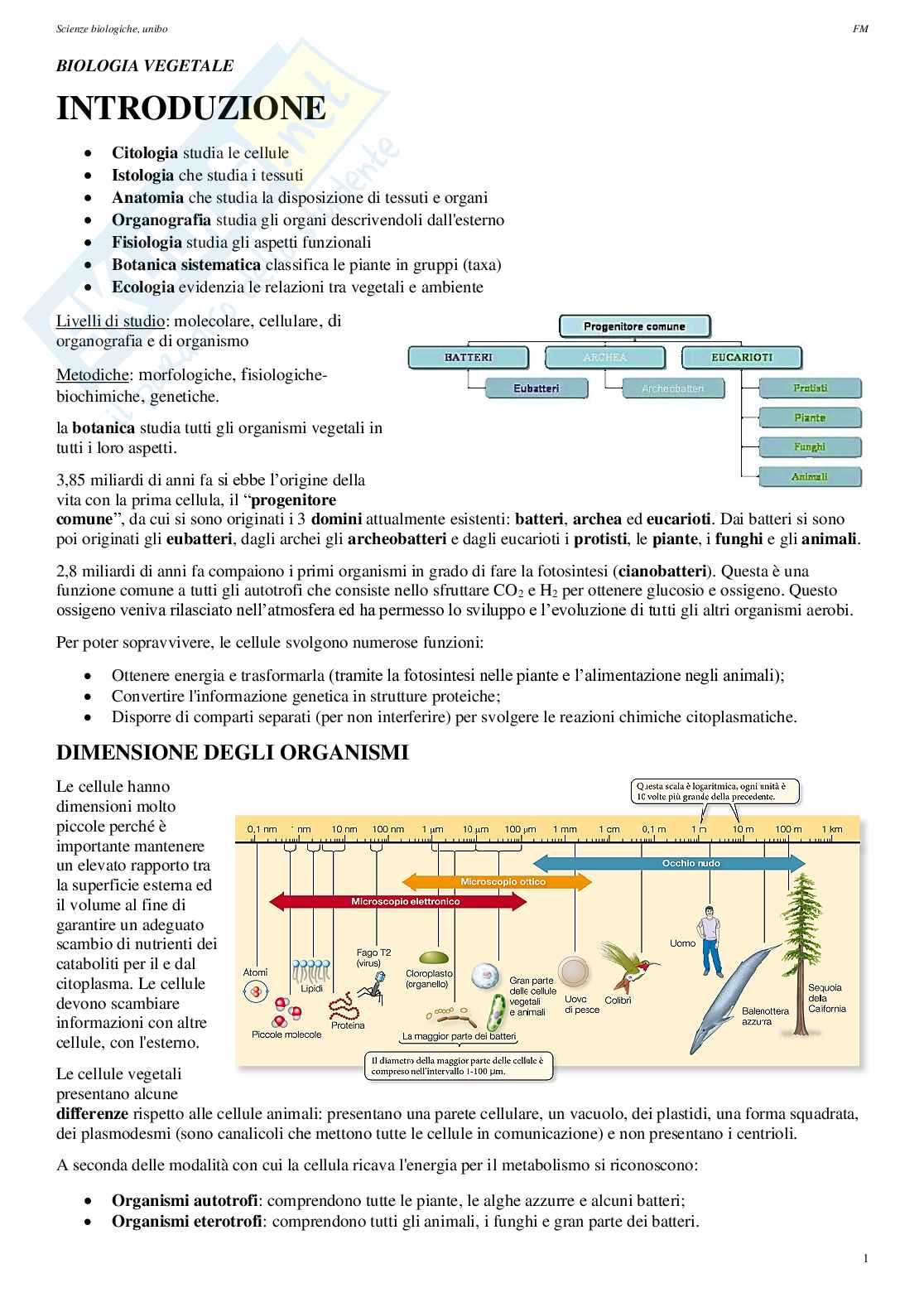 Appunti di Biologia vegetale Pag. 1