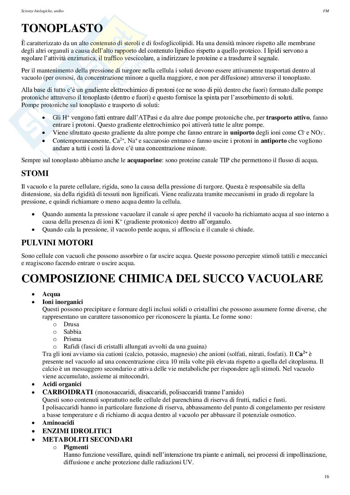 Appunti di Biologia vegetale Pag. 16