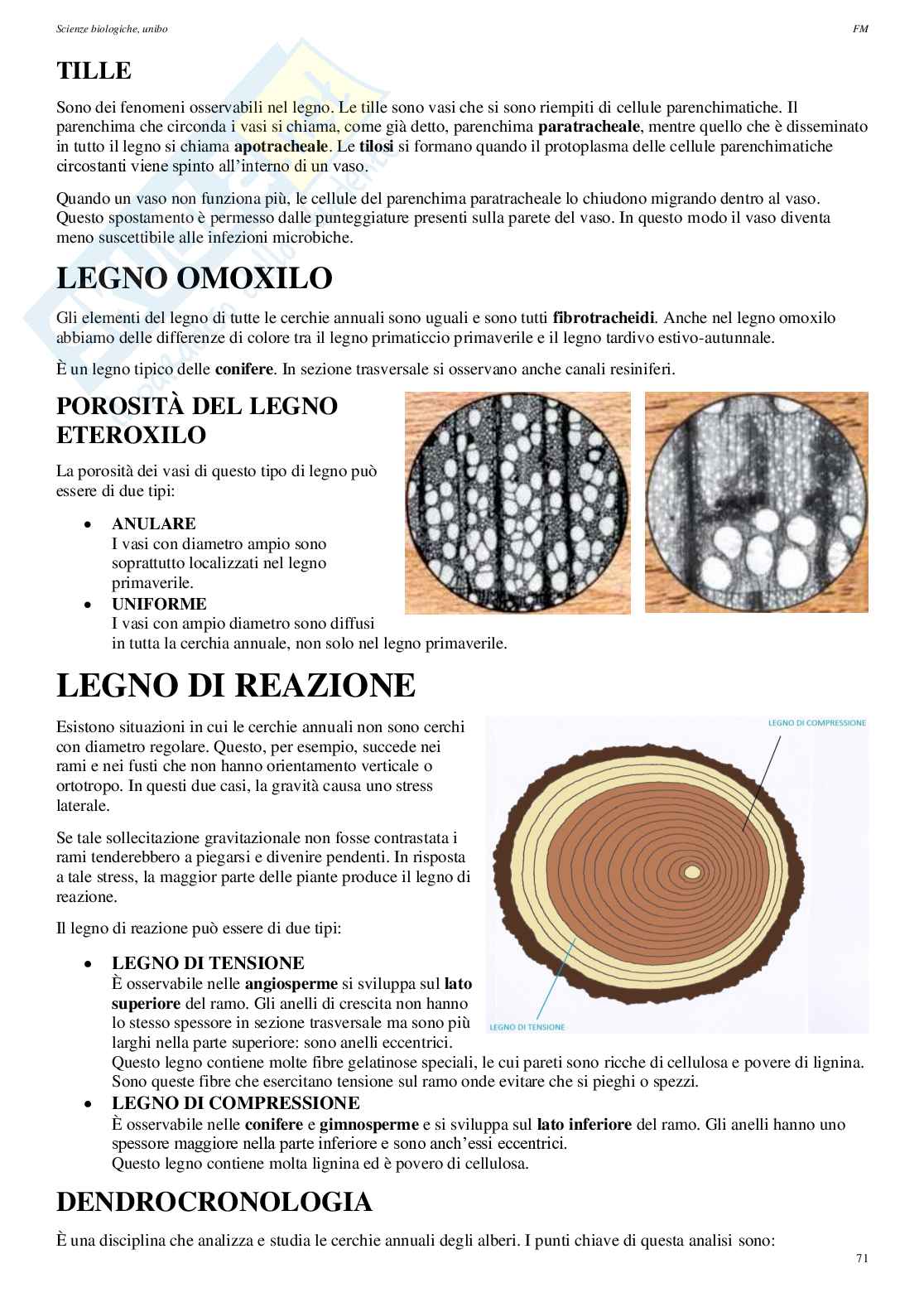 Appunti di Biologia vegetale Pag. 71