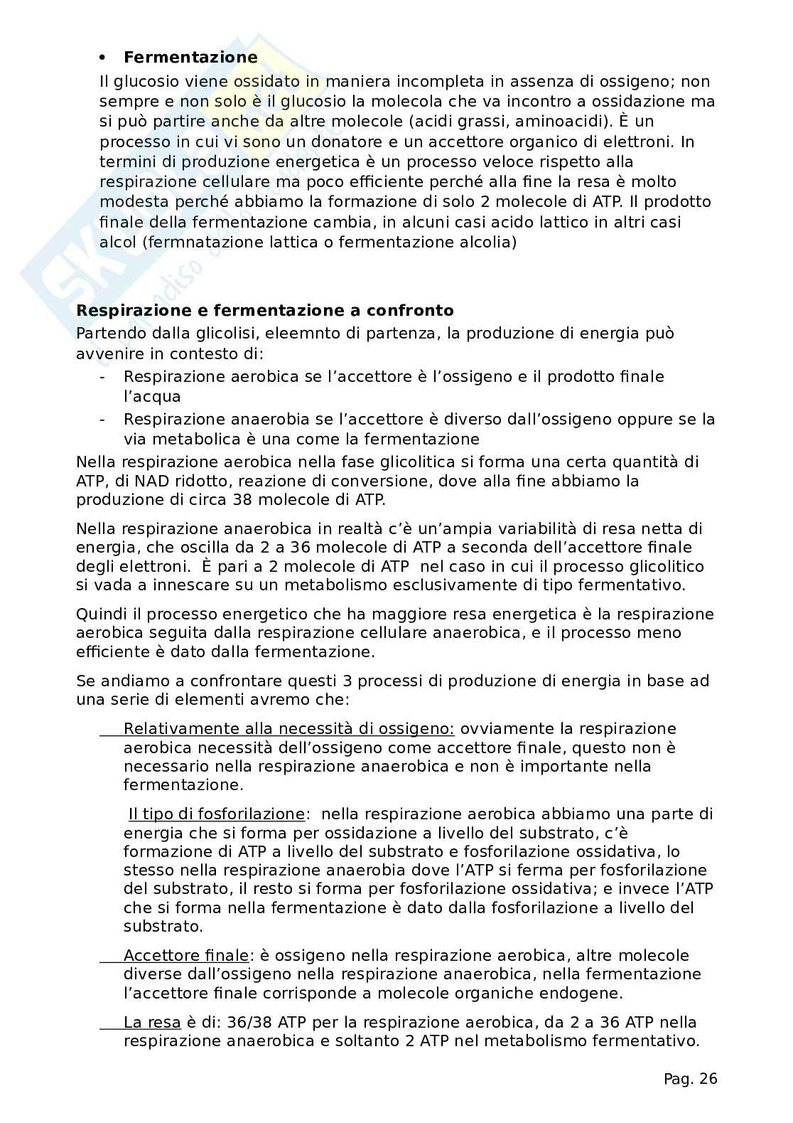 Microbiologia (tutto il programma) Pag. 26