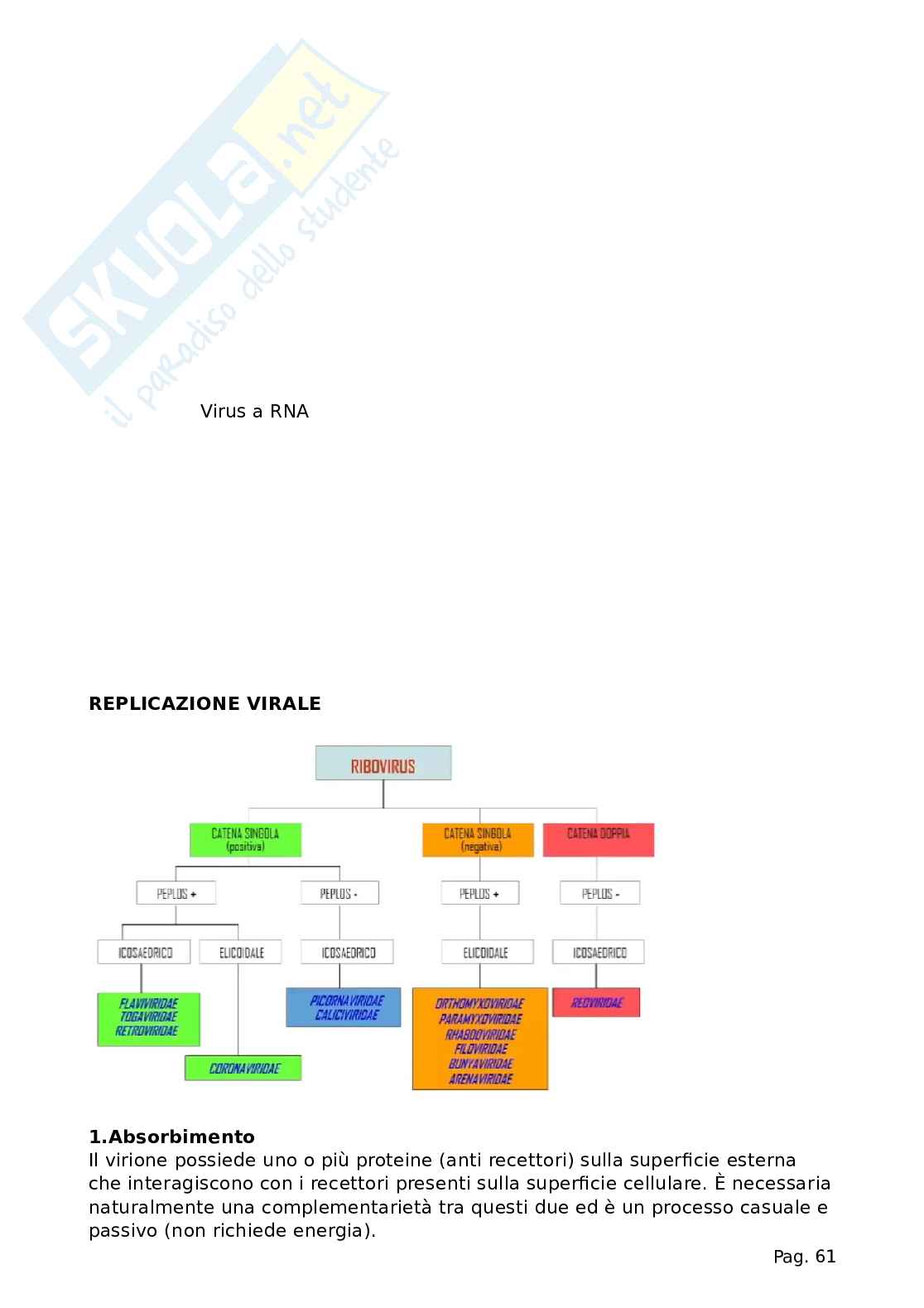 Microbiologia (tutto il programma) Pag. 61
