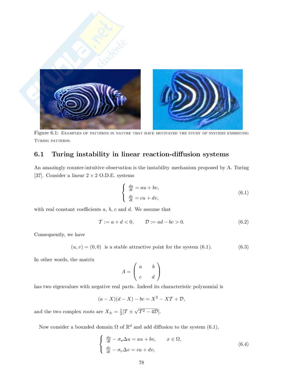 Riassunti Biomatematical modeling Pag. 26