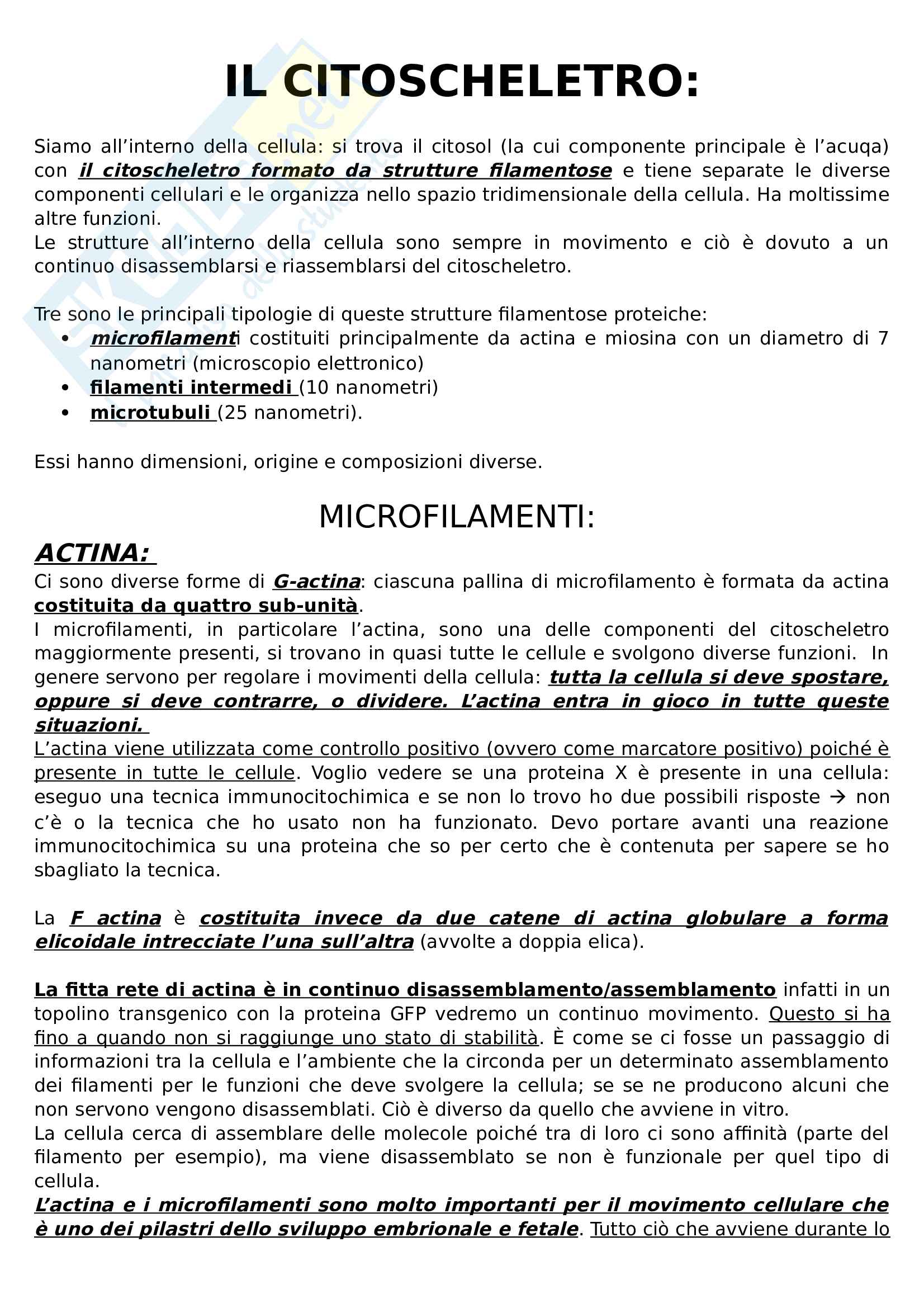 Appunti Biologia della cellula animale Pag. 16