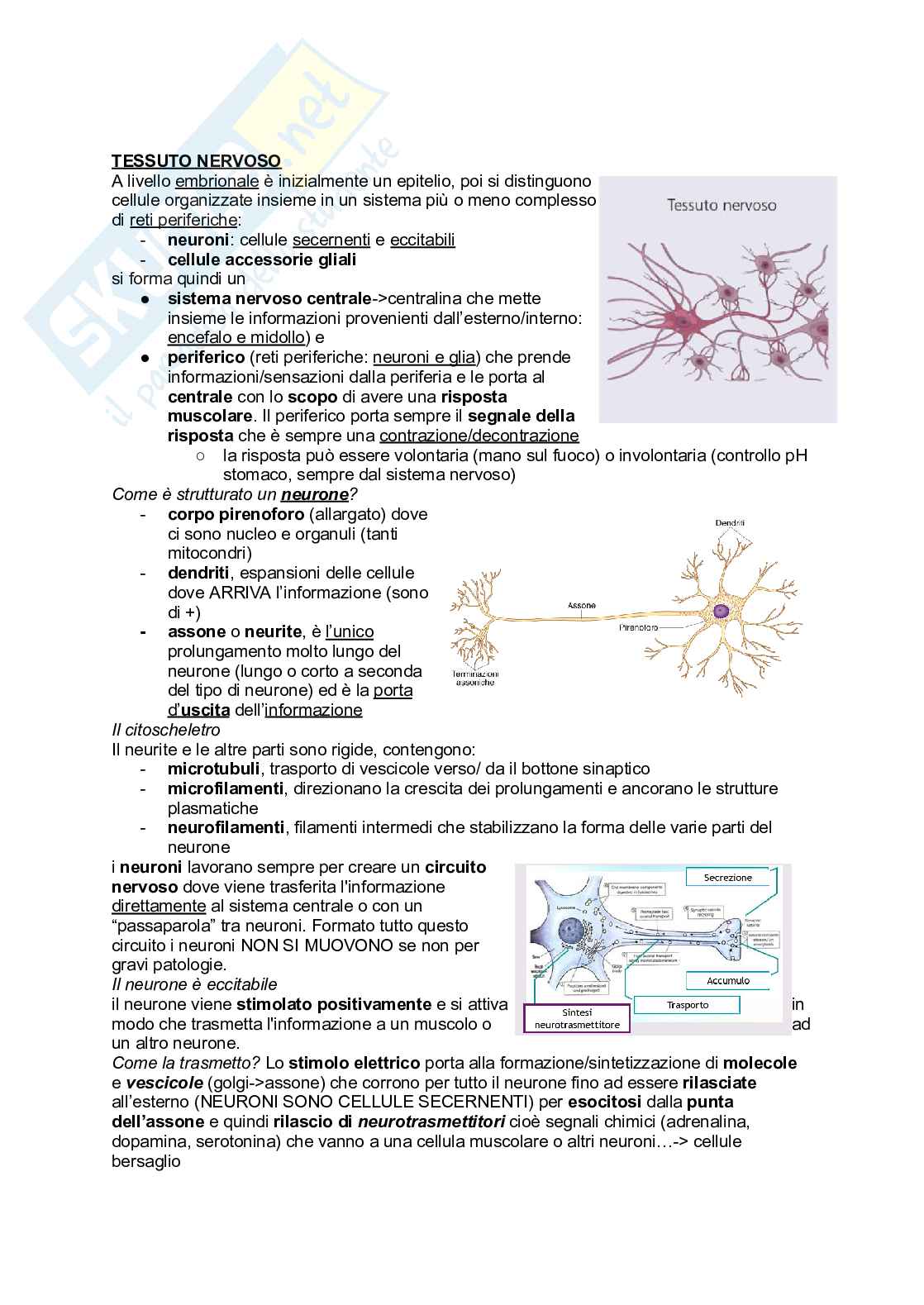 Appunti Biologia generale Pag. 1