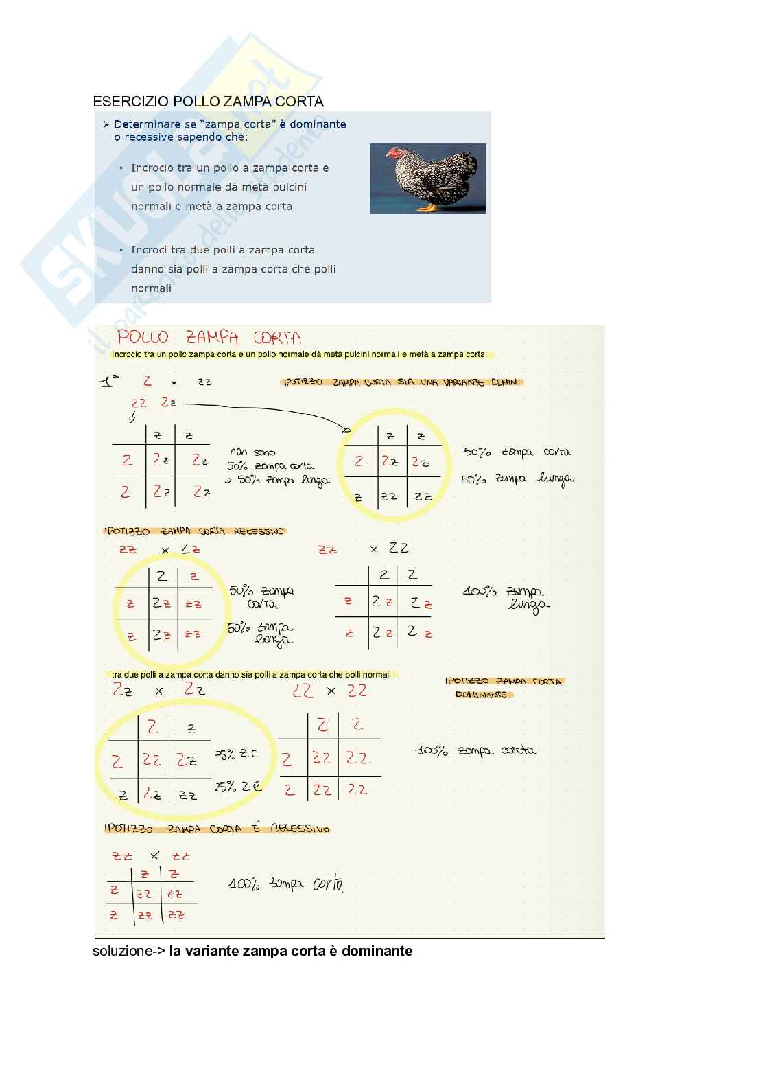 Appunti Biologia generale Pag. 11