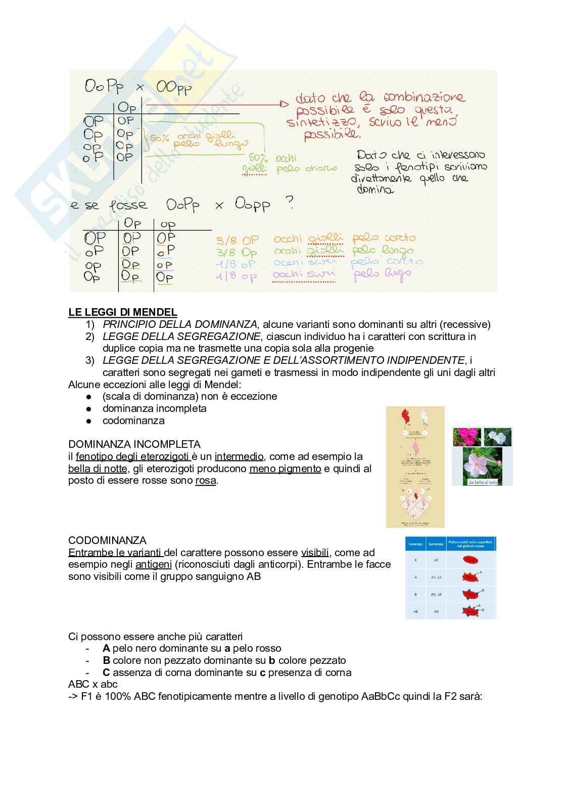 Appunti Biologia generale Pag. 16