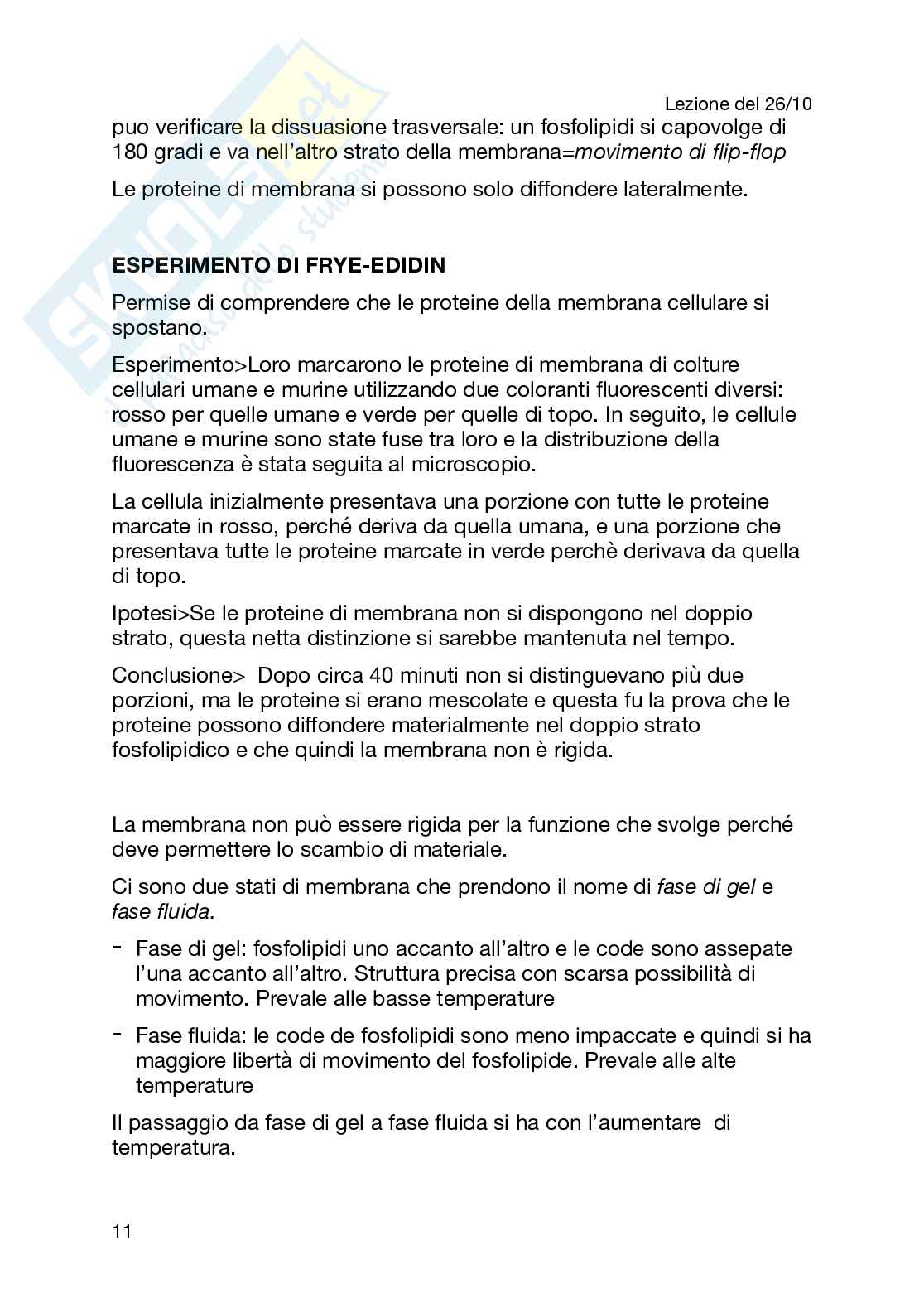 Biologia applicata Pag. 21