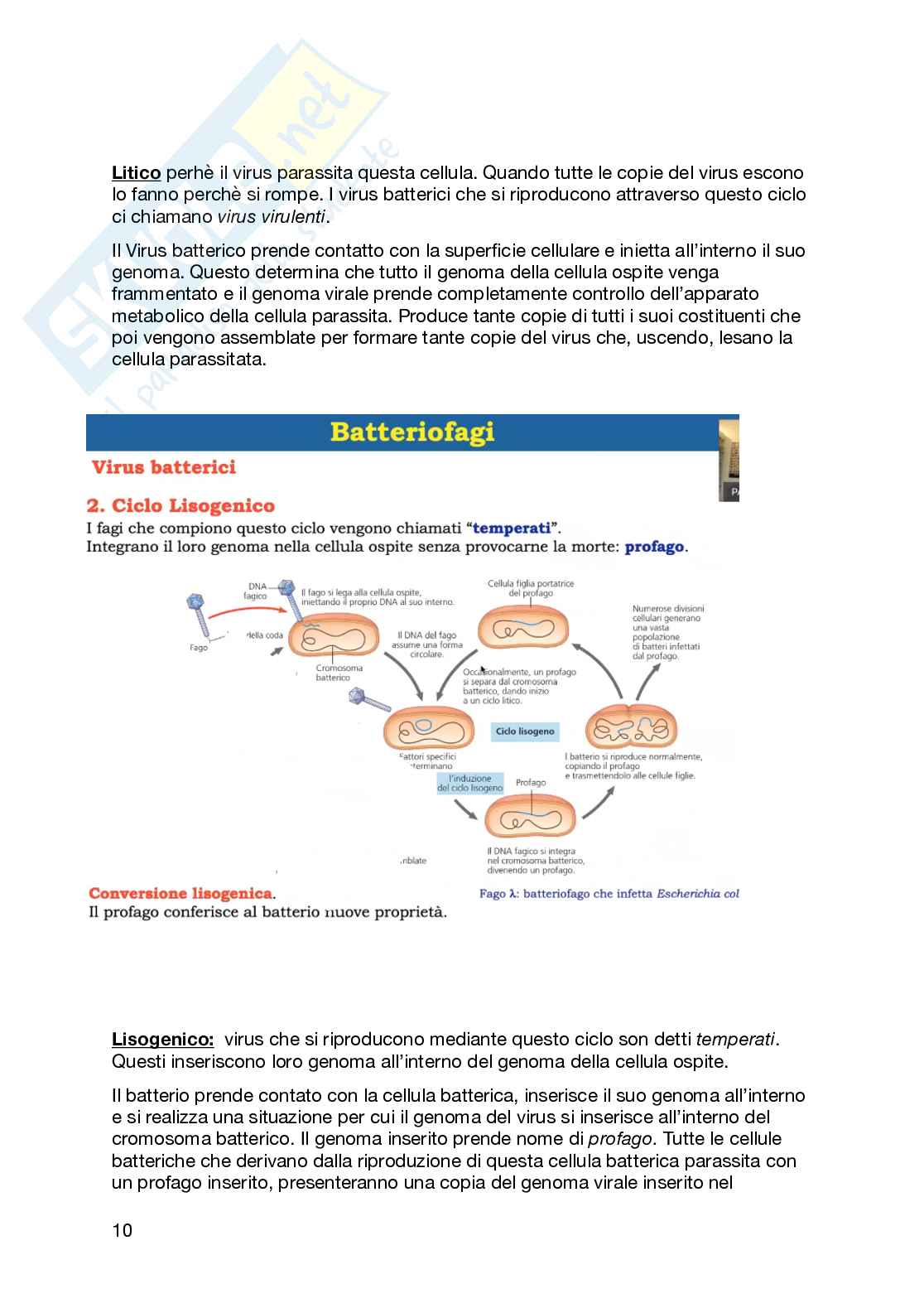 Biologia applicata Pag. 46