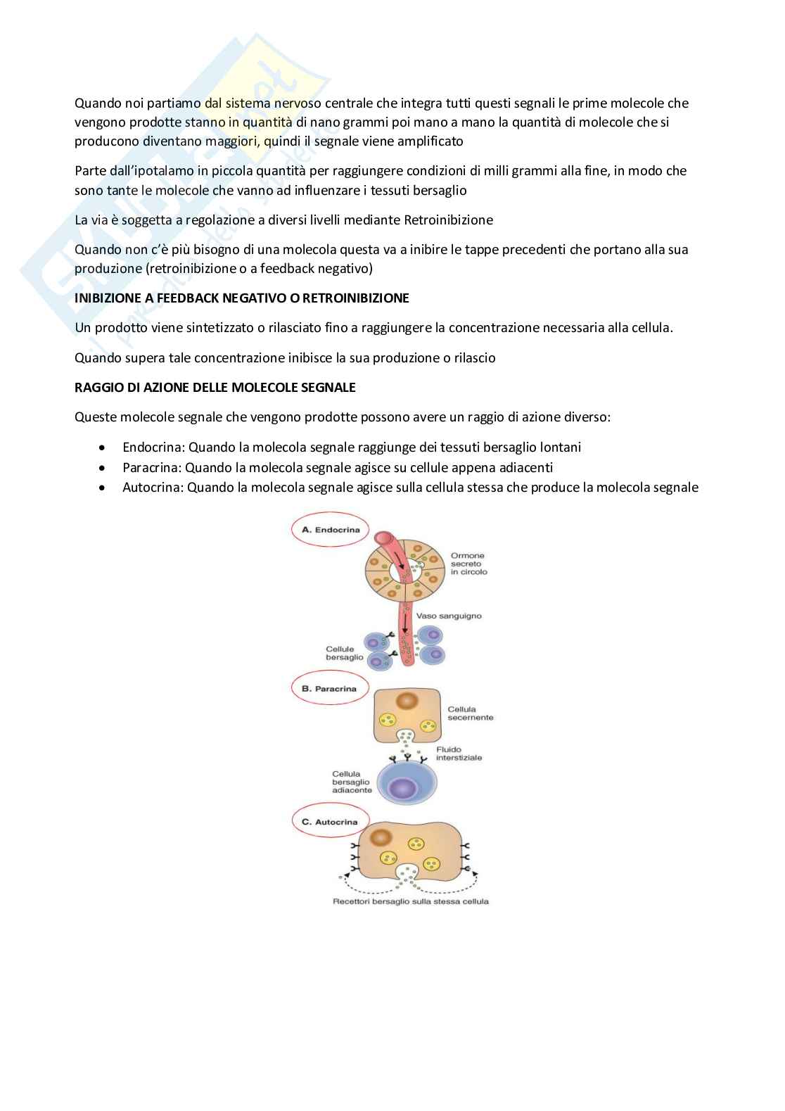 Biochimica generale e umana Pag. 26
