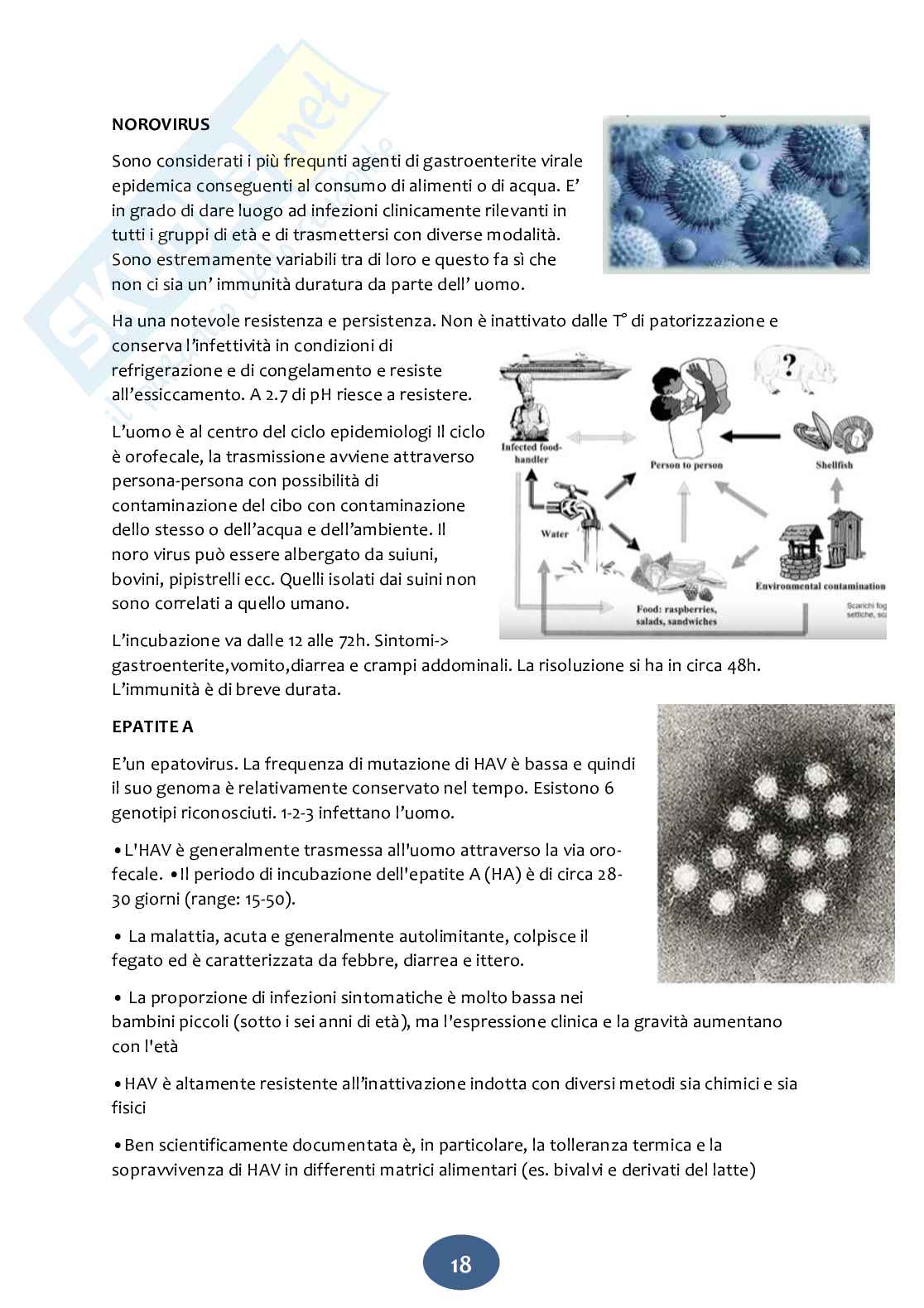 Igiene degli alimenti Pag. 71