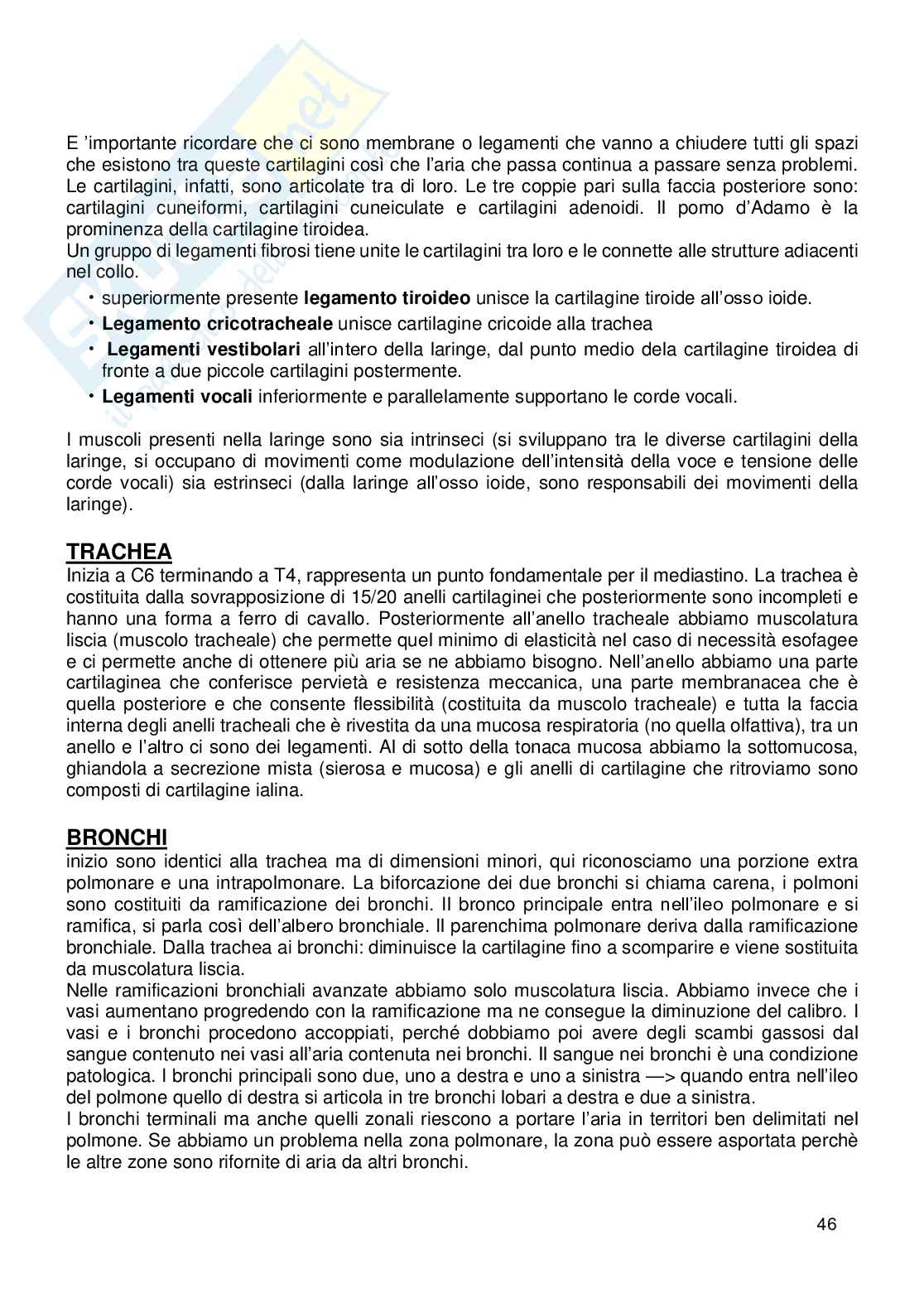 Appunti Anatomia umana Pag. 46