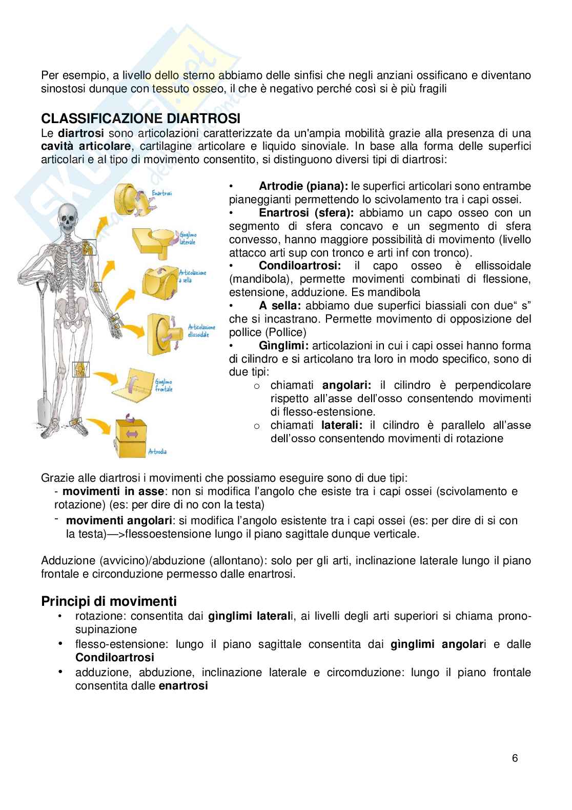 Appunti Anatomia umana Pag. 6