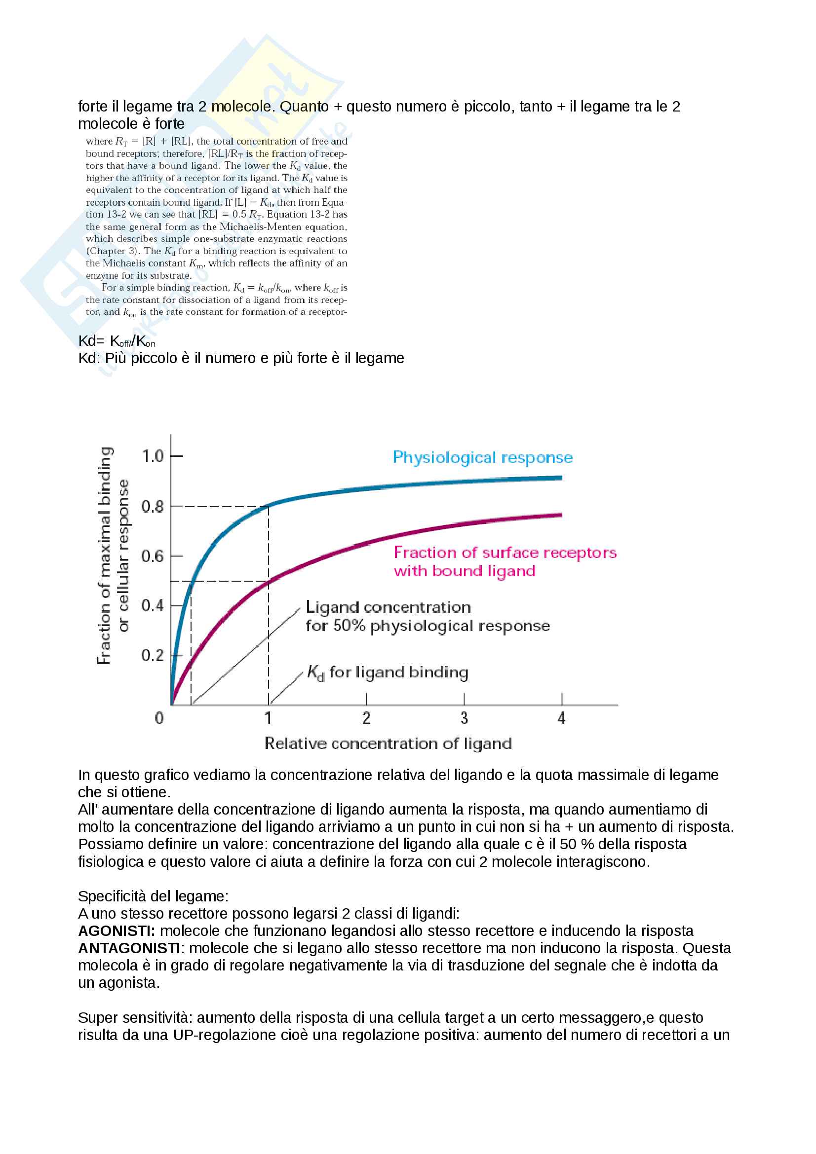 Biochimica industriale 1 Pag. 31
