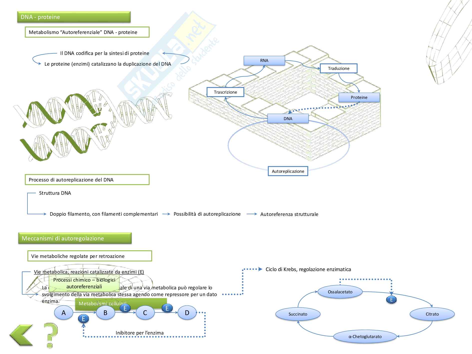 Figure e strutture ricorsive e autoreferenziali Pag. 46