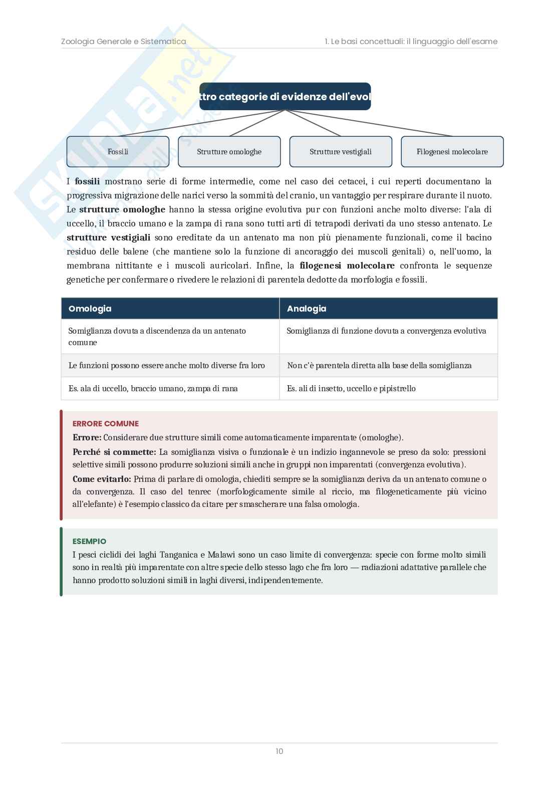 Zoologia sistematica – Teoria, schemi e domande d'esame  Pag. 11