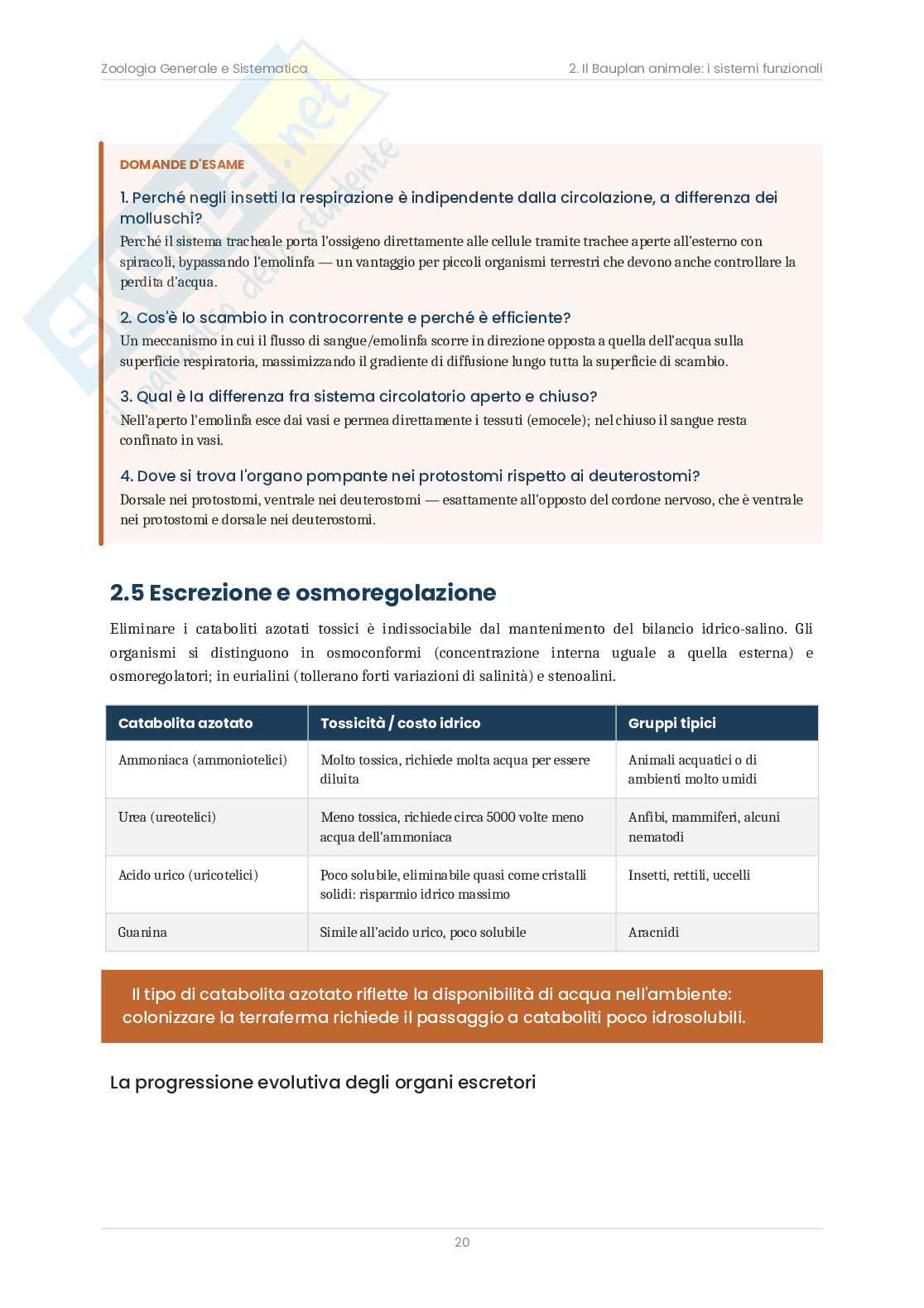 Zoologia sistematica – Teoria, schemi e domande d'esame  Pag. 21