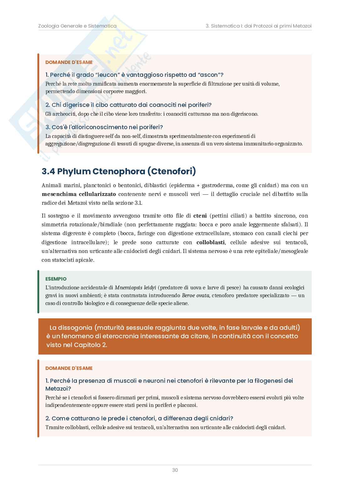 Zoologia sistematica – Teoria, schemi e domande d'esame  Pag. 31