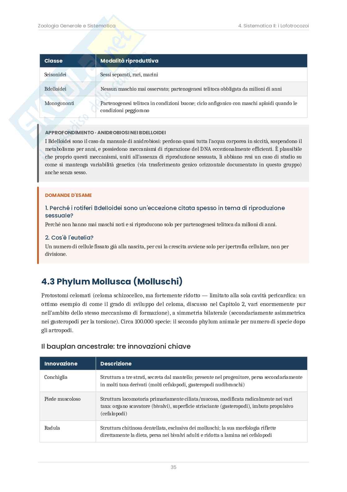 Zoologia sistematica – Teoria, schemi e domande d'esame  Pag. 36