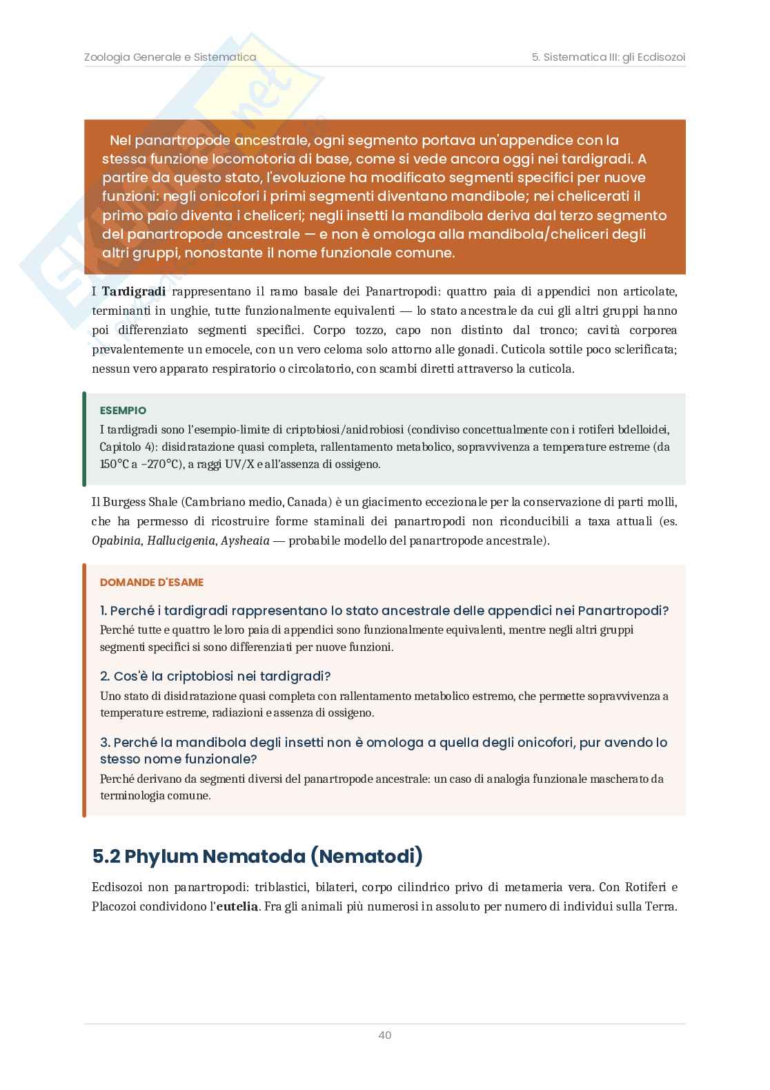 Zoologia sistematica – Teoria, schemi e domande d'esame  Pag. 41