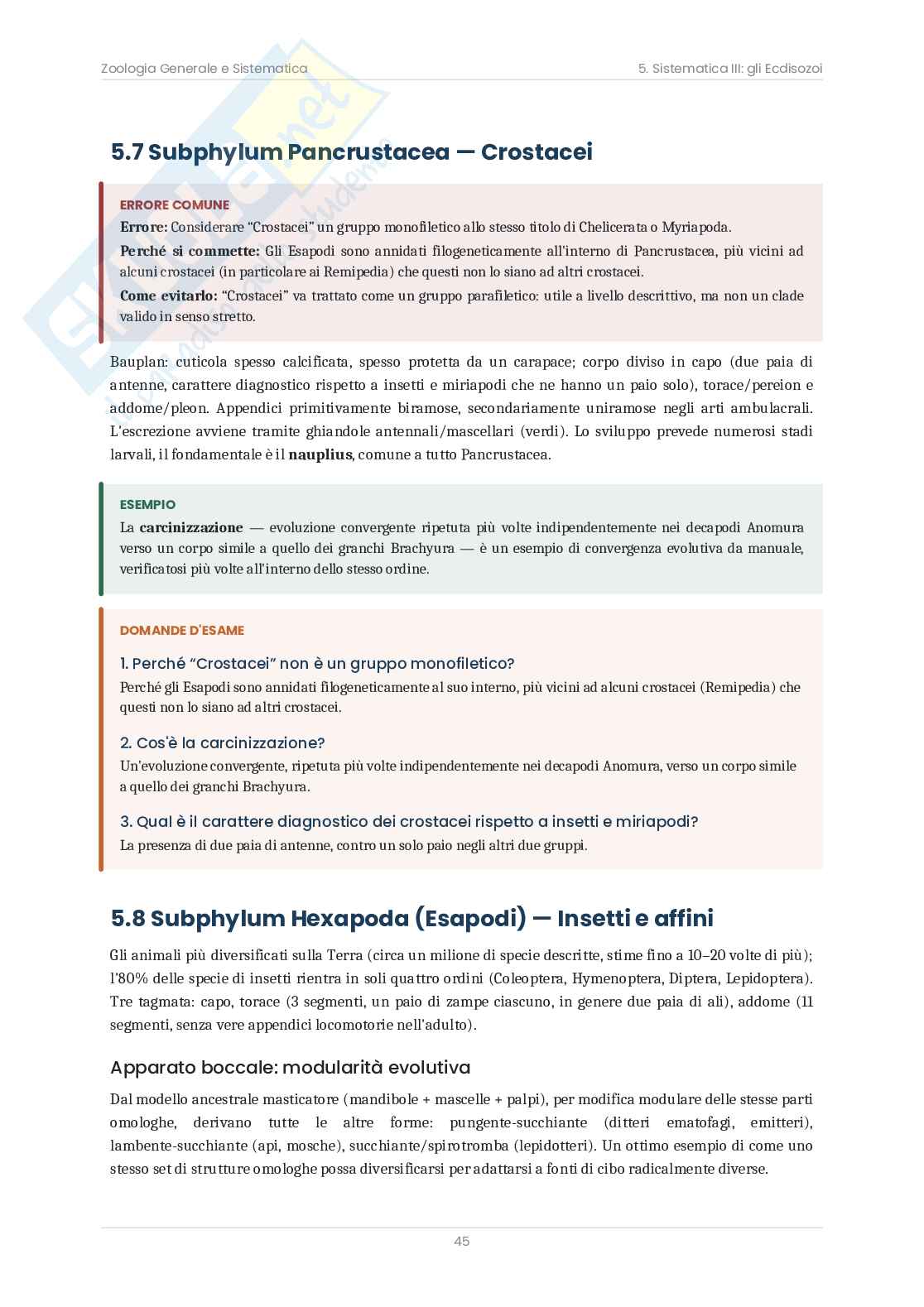 Zoologia sistematica – Teoria, schemi e domande d'esame  Pag. 46