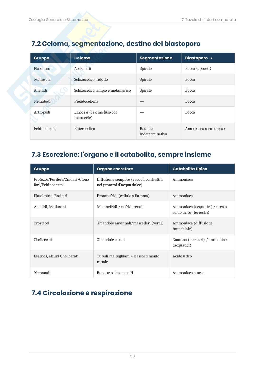 Zoologia sistematica – Teoria, schemi e domande d'esame  Pag. 51