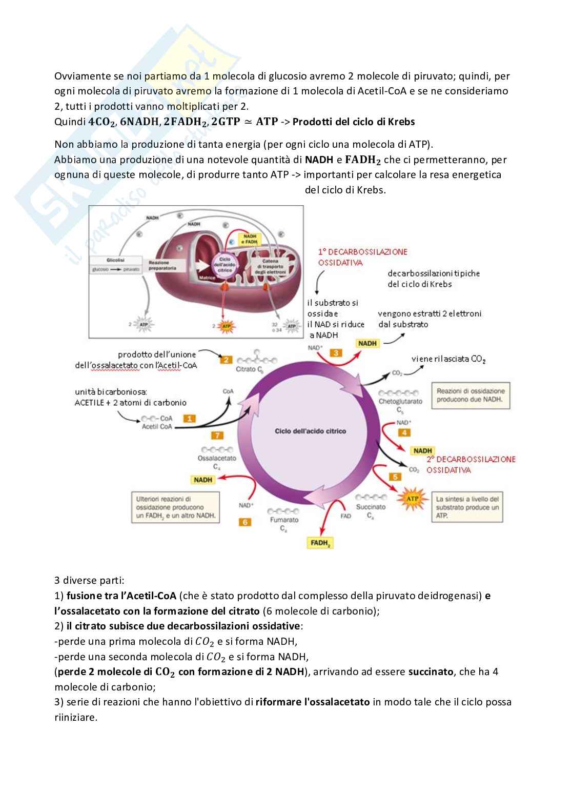 Appunti Biochimica 1 Pag. 71