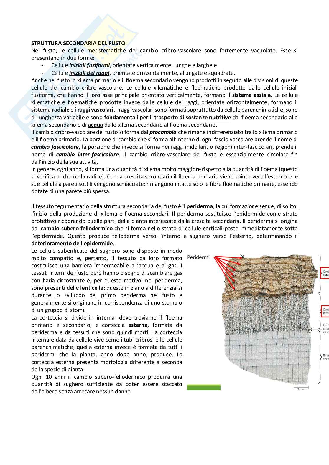 Biologia vegetale Pag. 46