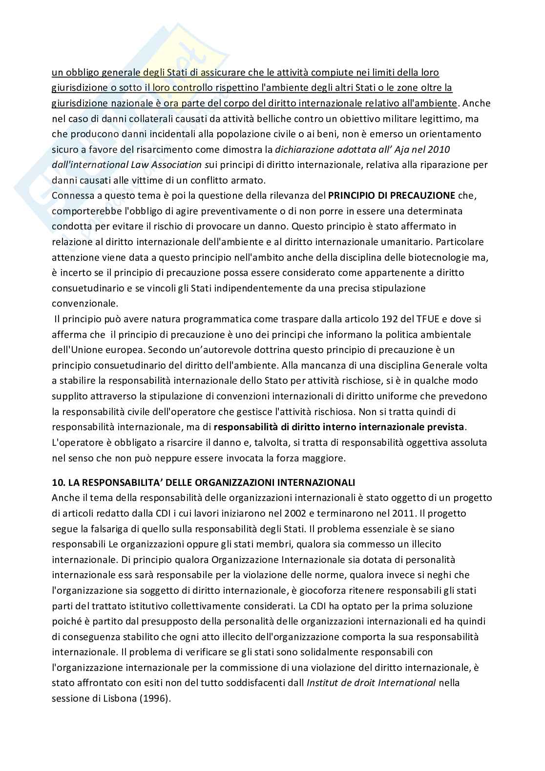 Riassunto esame Diritto internazionale , Prof. Mancini Marina, libro consigliato Diritto internazionale, riferimento cap. 14, Ronzitti  Pag. 11