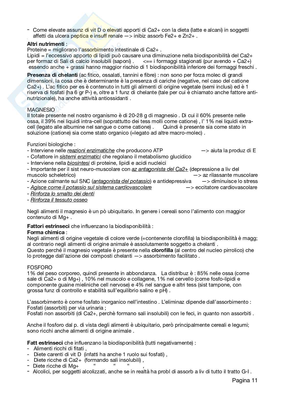 Appunti Neutraceutica, 2026 aggiornati Pag. 11