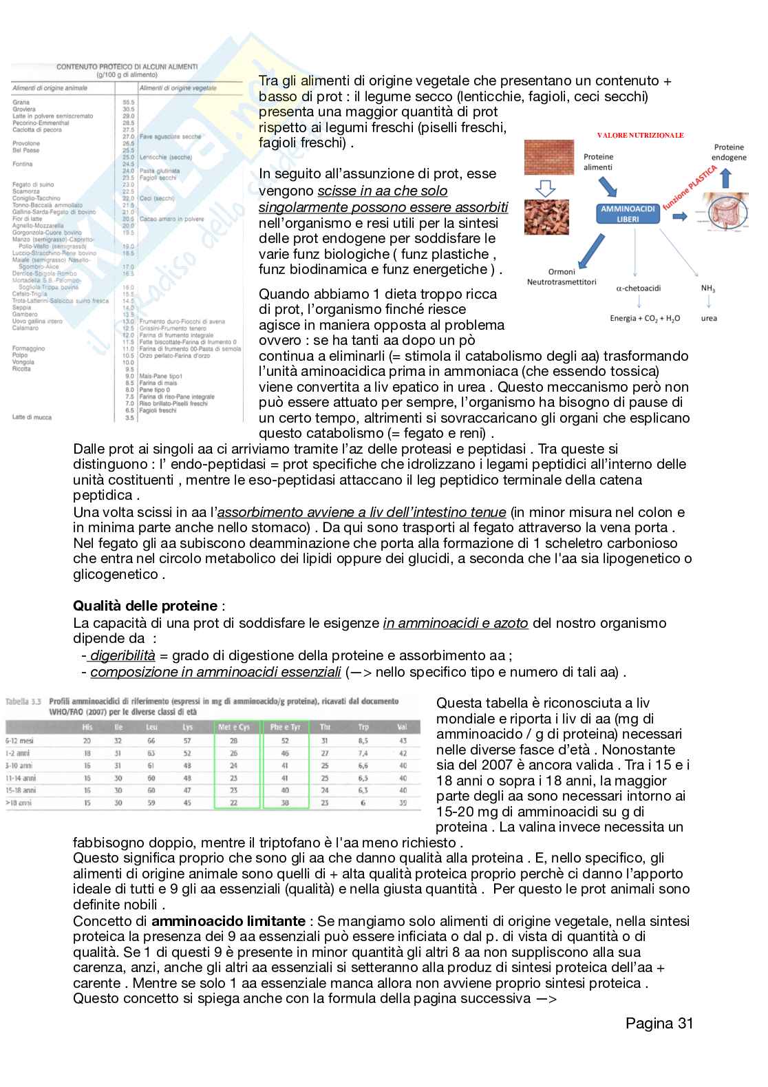 Appunti Neutraceutica, 2026 aggiornati Pag. 31