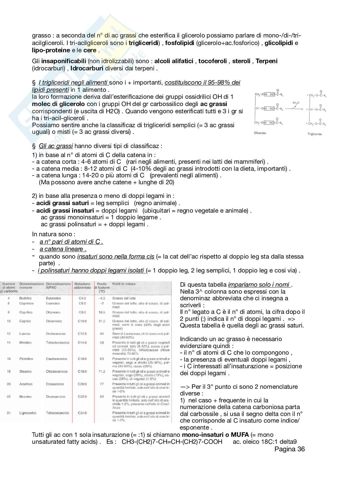 Appunti Neutraceutica, 2026 aggiornati Pag. 36