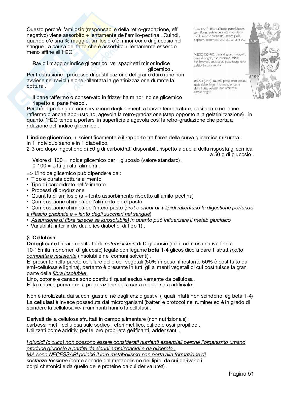 Appunti Neutraceutica, 2026 aggiornati Pag. 51