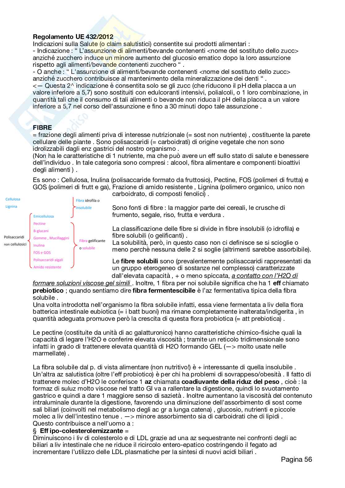 Appunti Neutraceutica, 2026 aggiornati Pag. 56