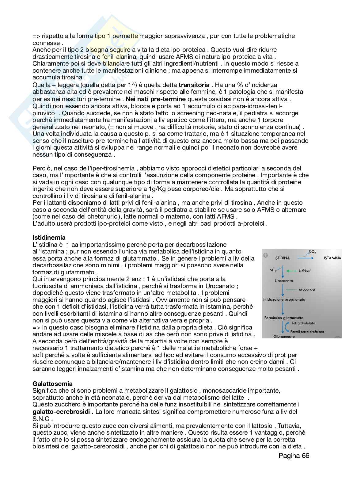 Appunti Neutraceutica, 2026 aggiornati Pag. 66