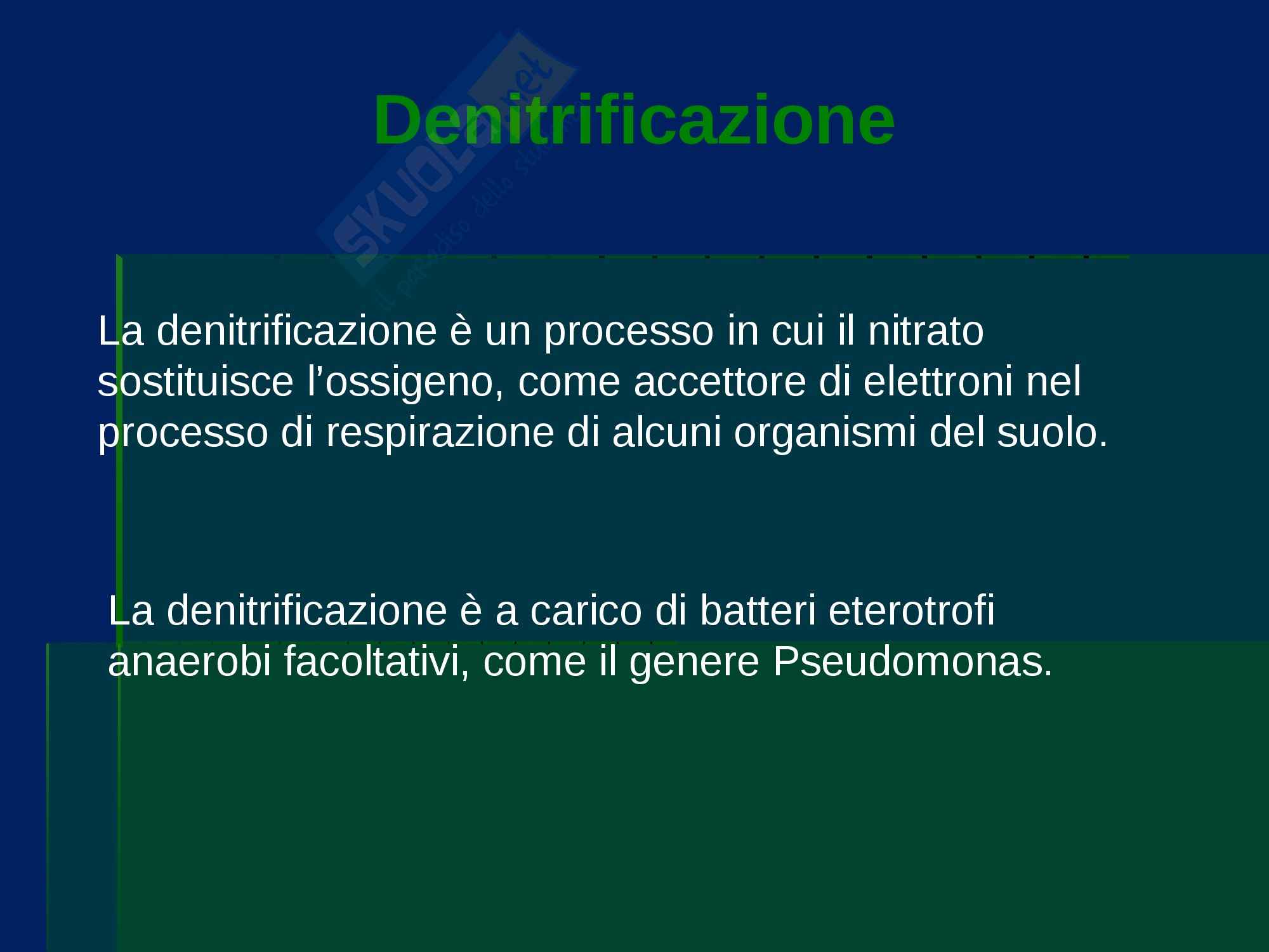 Ecologia - cicli biogeochimici Pag. 56