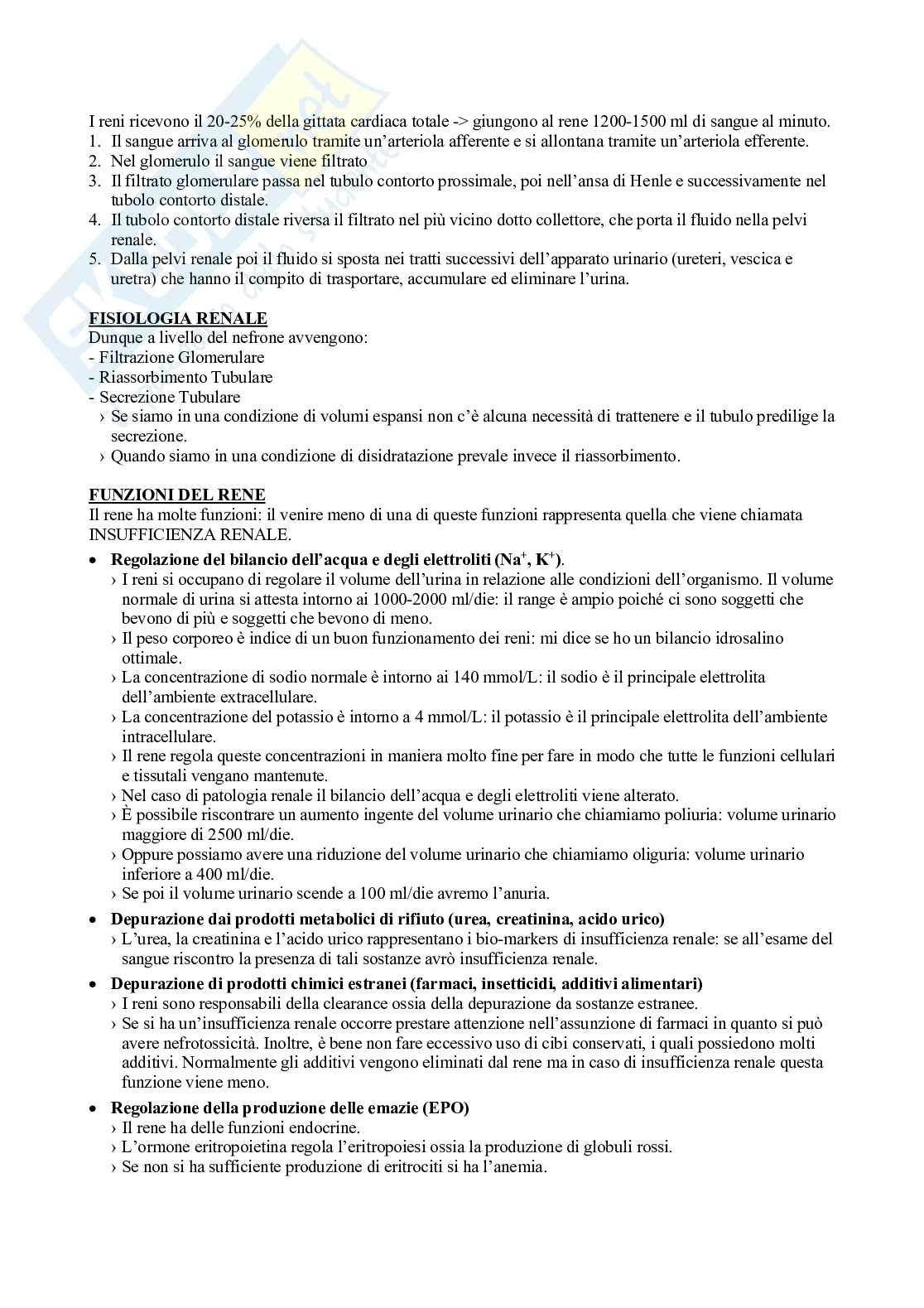 Fisioterapia e professioni sanitarie - Appunti di medicina interna   Pag. 2