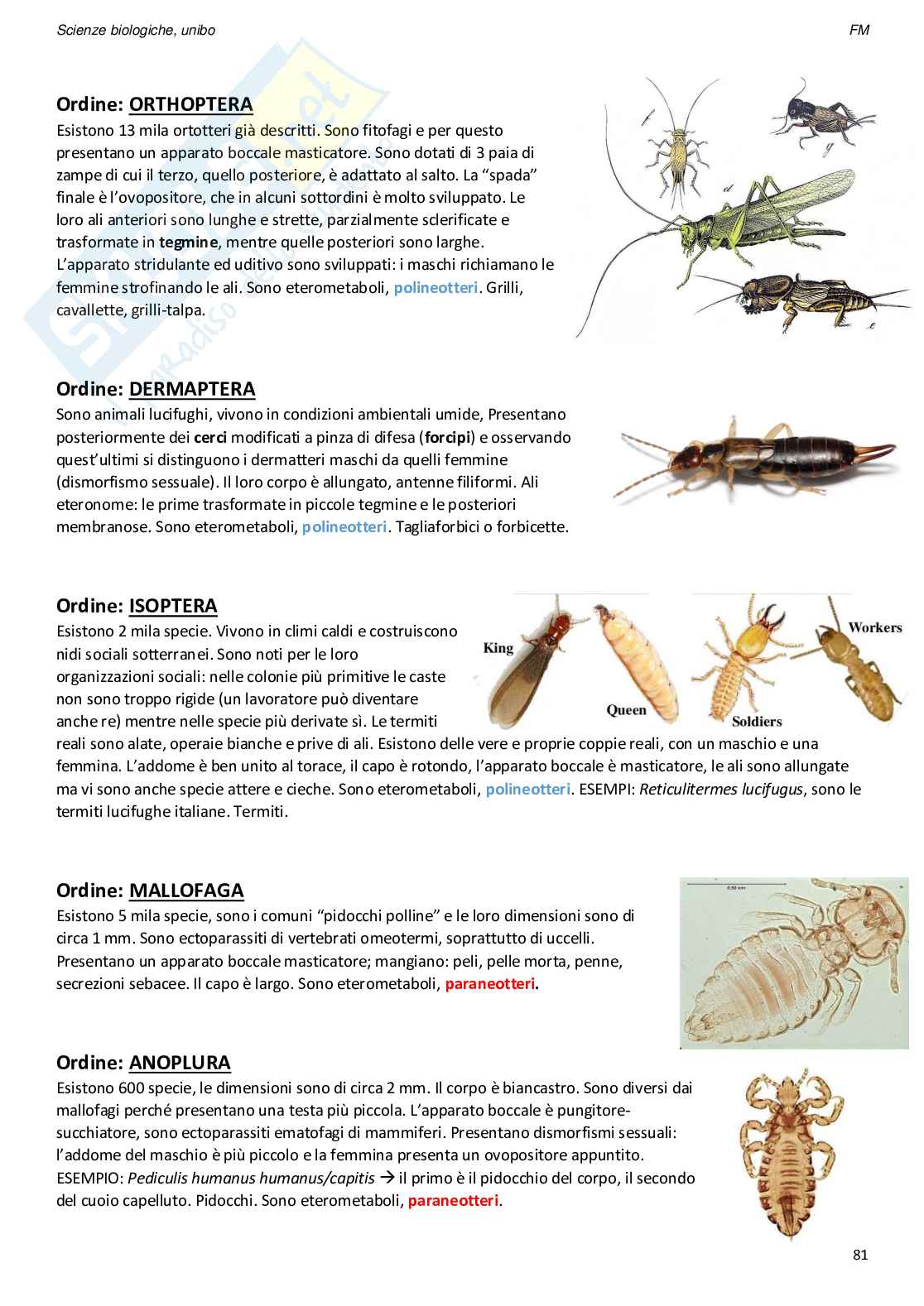 Appunti di Zoologia Pag. 81