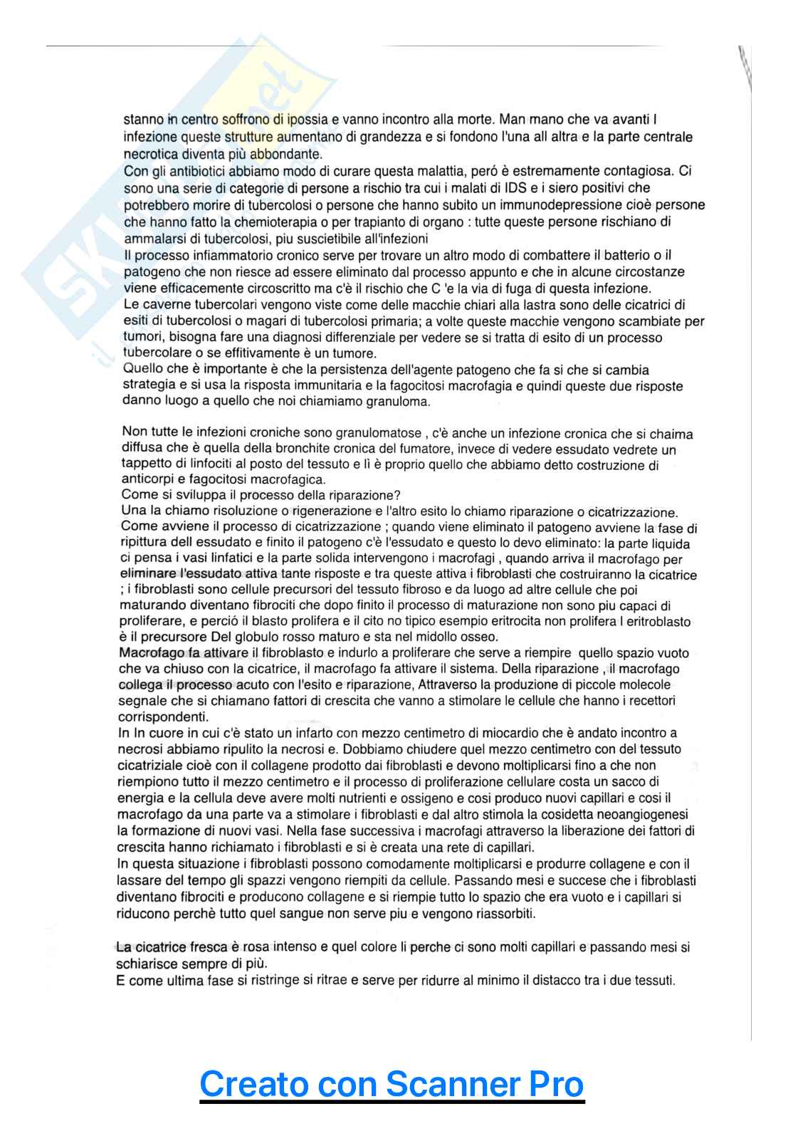 Appunti di Patologia generale Pag. 11