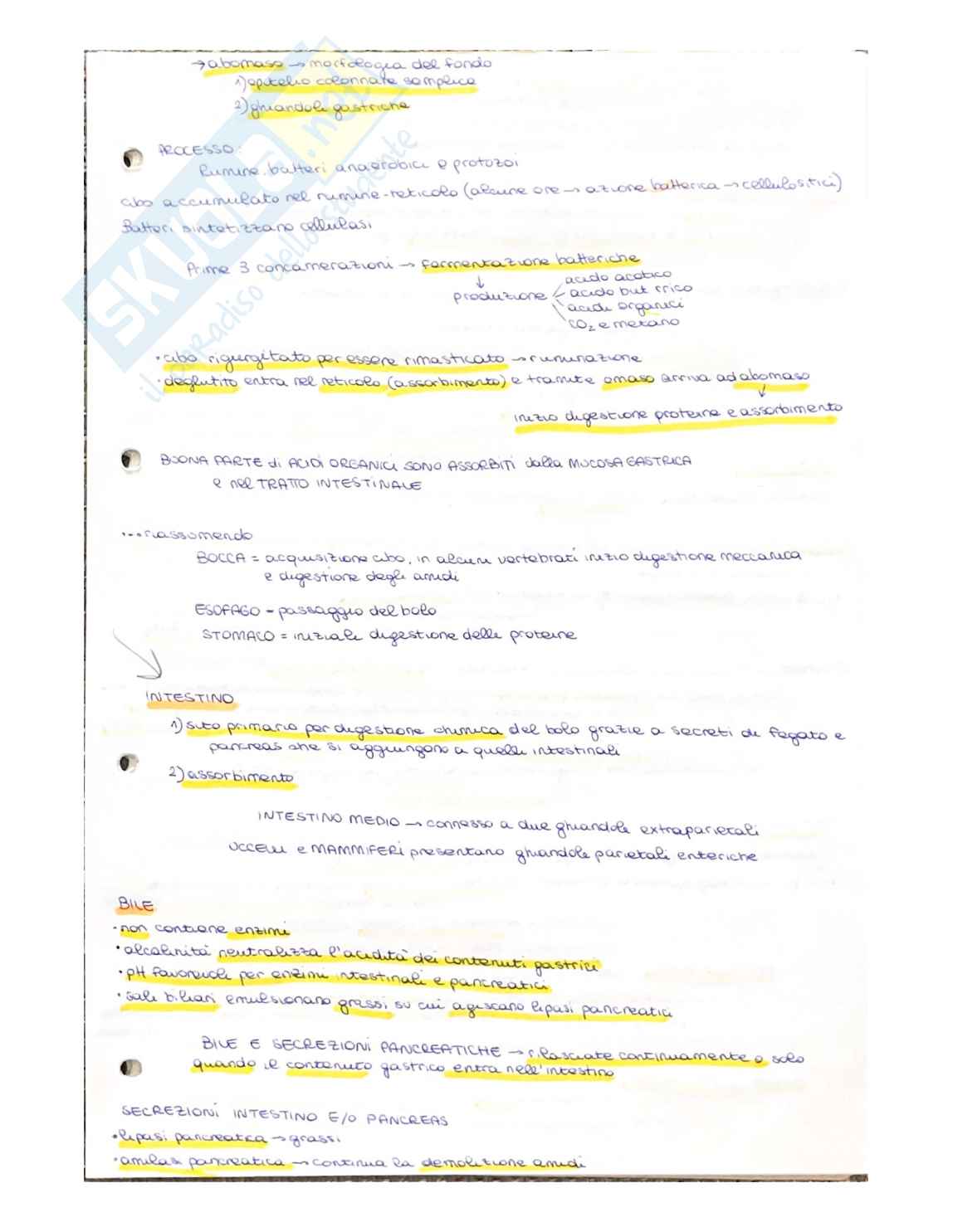 Appunti di Anatomia comparata Pag. 41