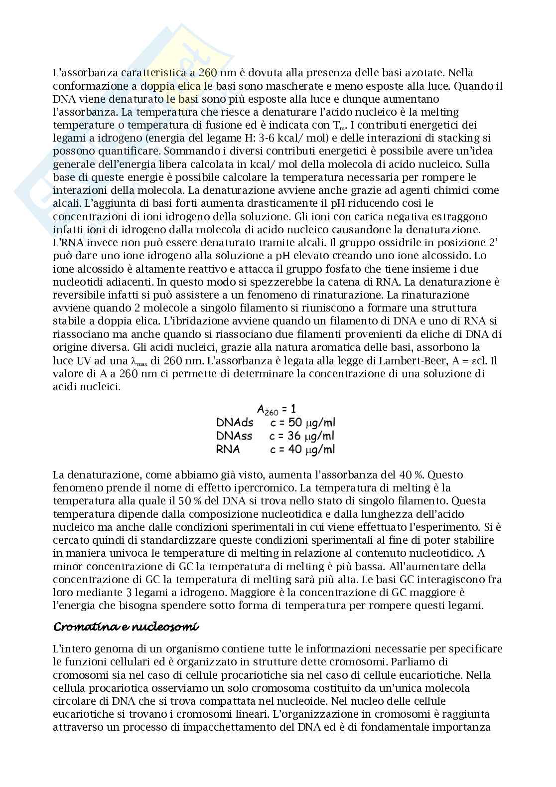 Appunti esame biologia molecolare Pag. 31