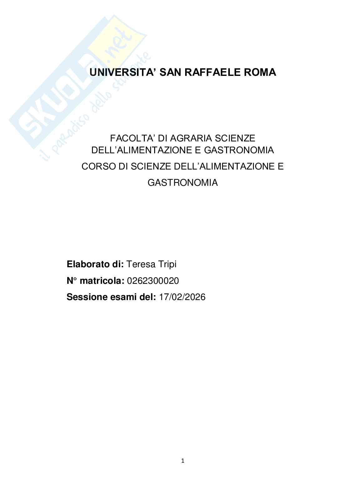 Elaborato Comunicazione gastronomica e nutrizionale Pag. 1