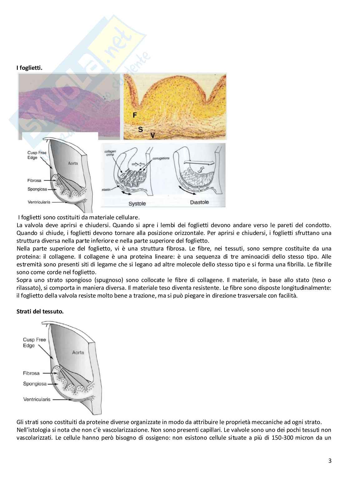 Appunti di Dispositivi medicali Pag. 16
