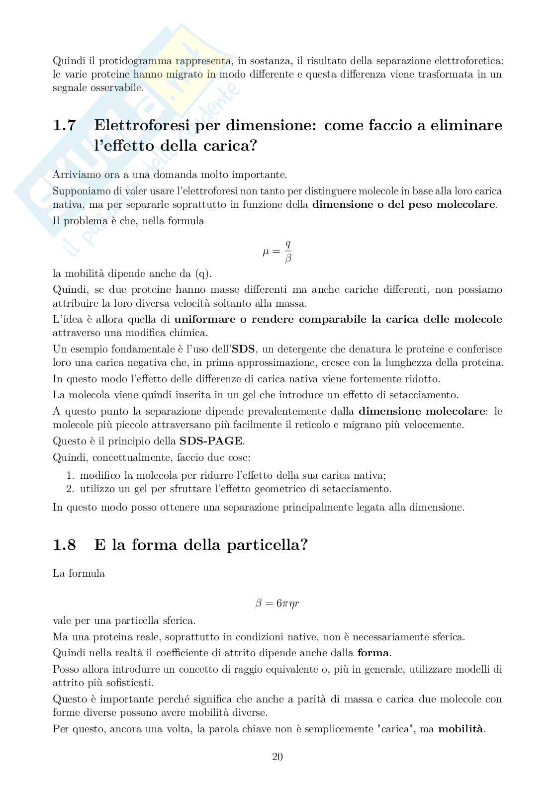 Appunti Bioelettromagnetismo Pag. 21