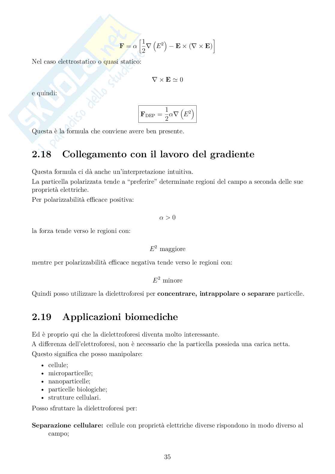 Appunti Bioelettromagnetismo Pag. 36