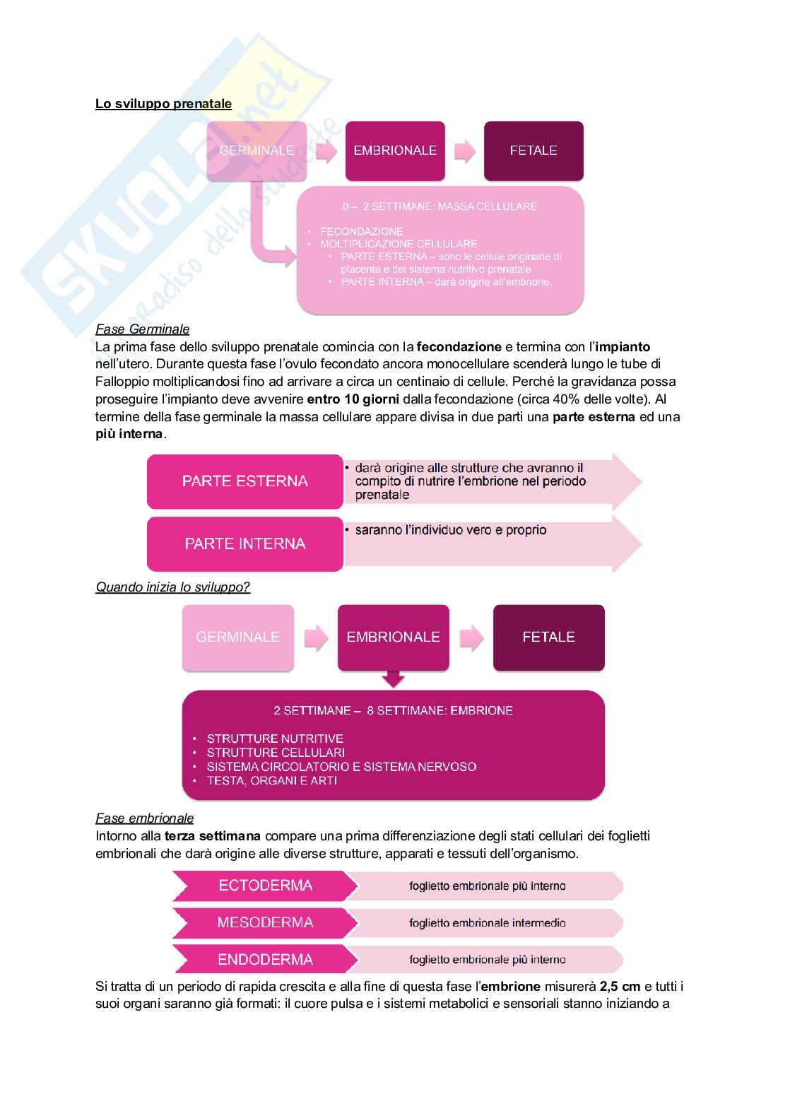 Psicologia dello sviluppo e psicologia dell'educazione Pag. 36