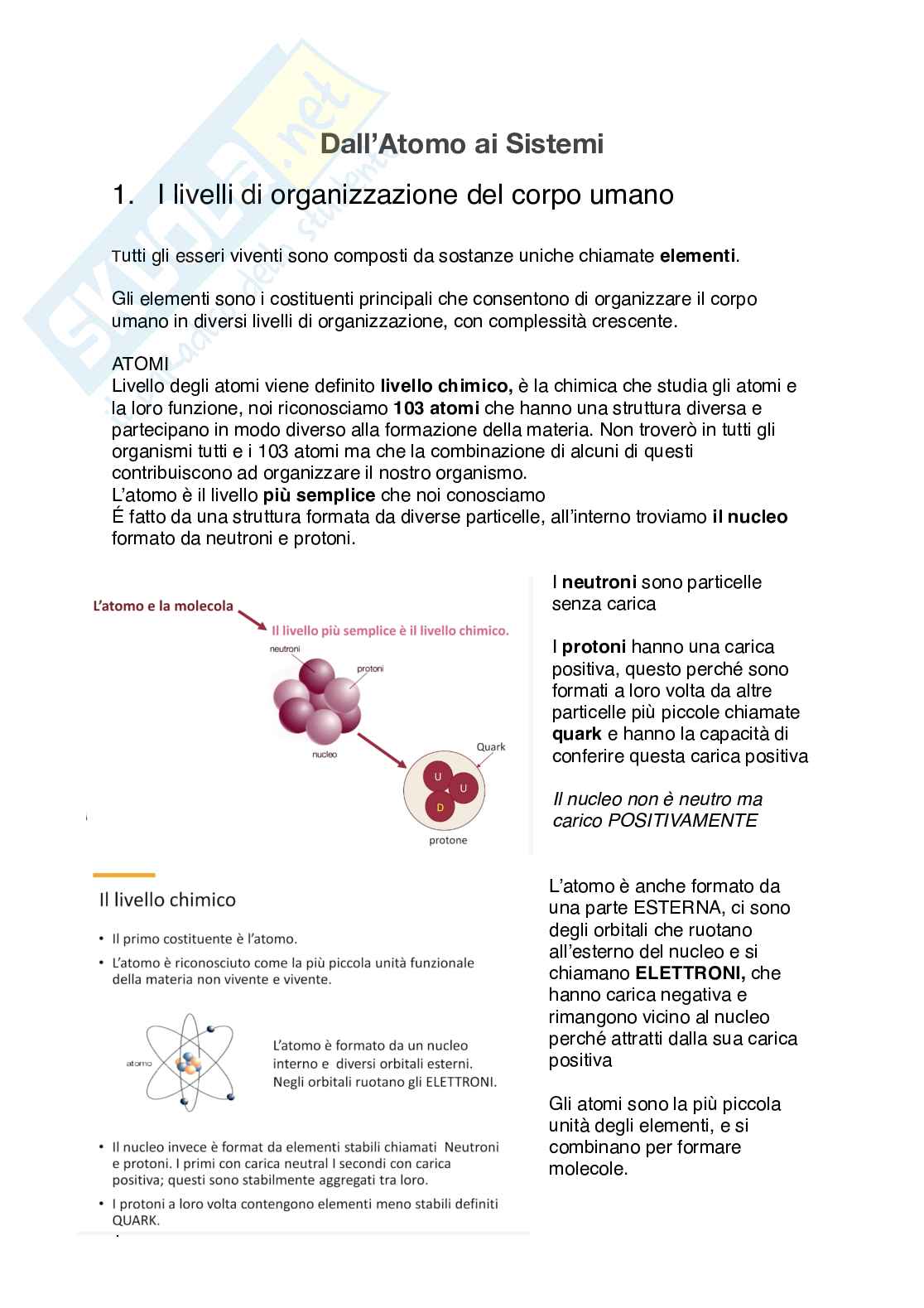 Appunti di Fisiologia umana  Pag. 1